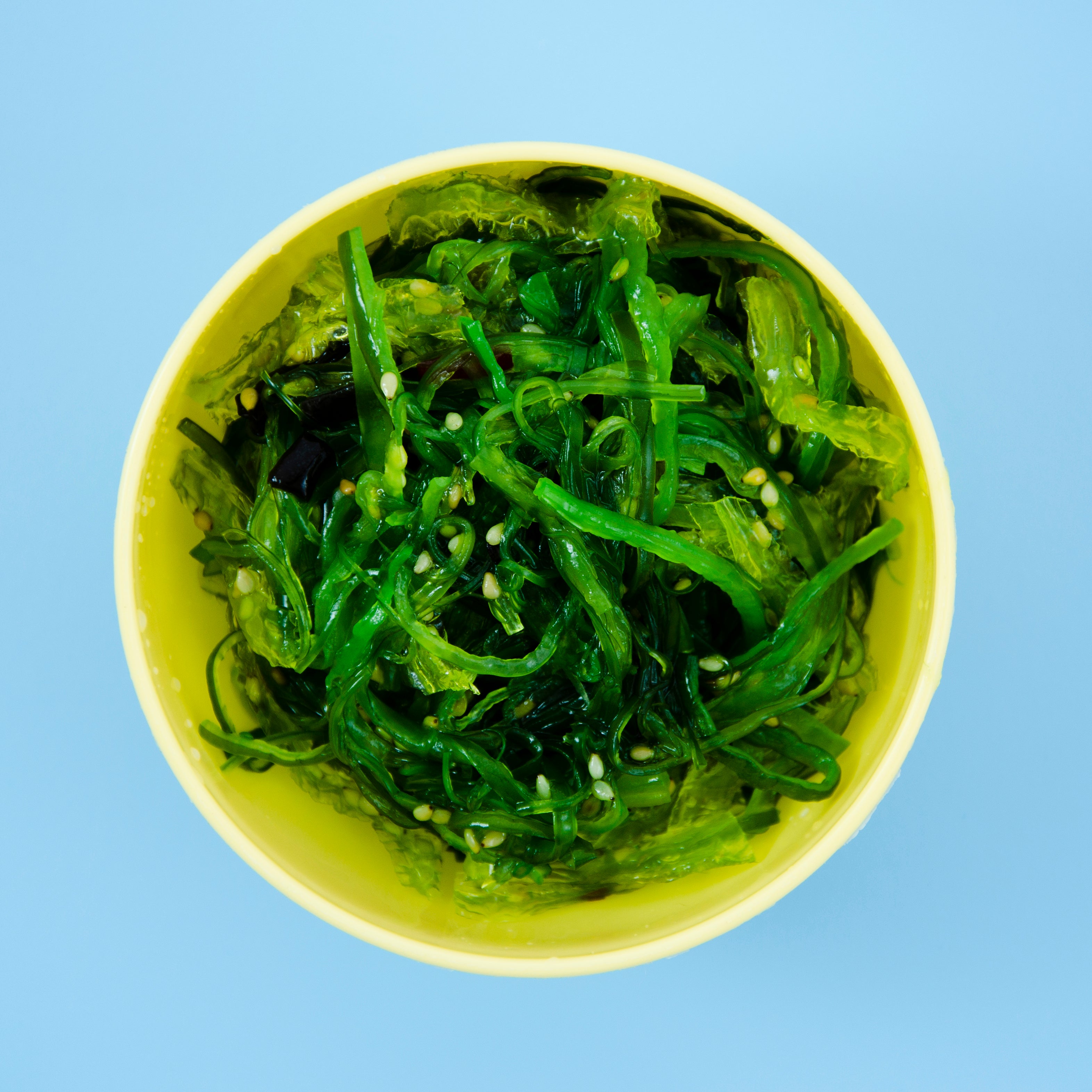 Algae DHA Vectors